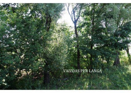 PARDUODAMAS KOTEDŽAS LUBINŲ g., TARANDĖJE SU 5 a ŽEMĖS SKLYPU